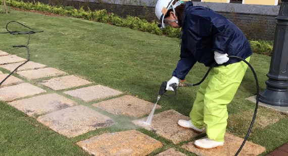 プロの洗浄技術